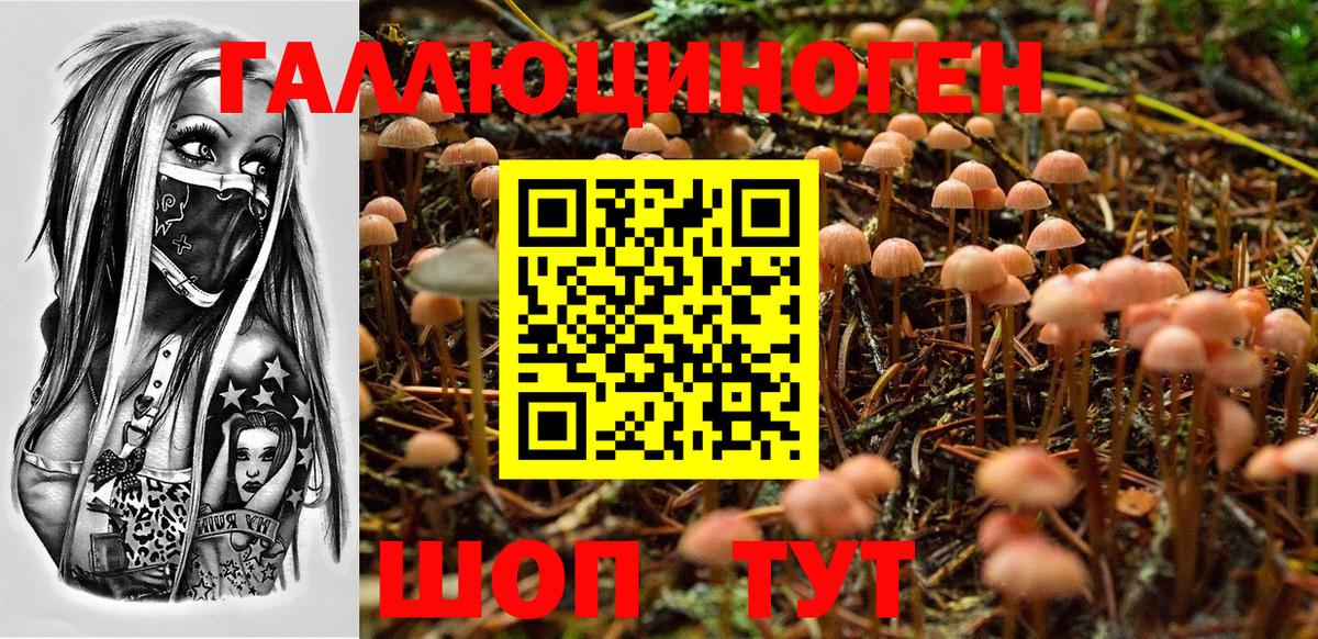Псилоцибиновые грибы мицелий  Вход с VPN  Псилоцибиновые грибы Psilocybine cubensis  Бузулук 